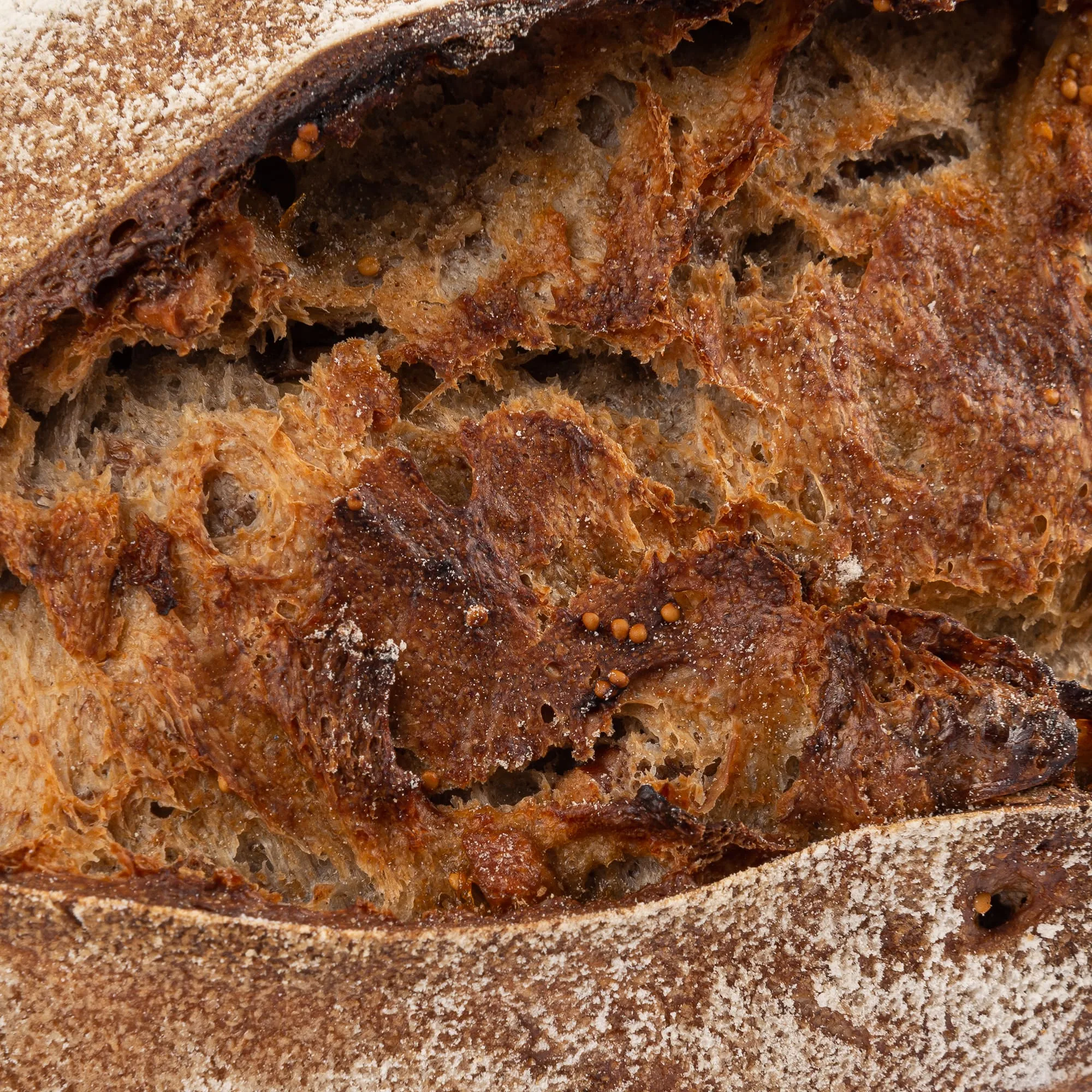 60 Figue et noix (162)-min