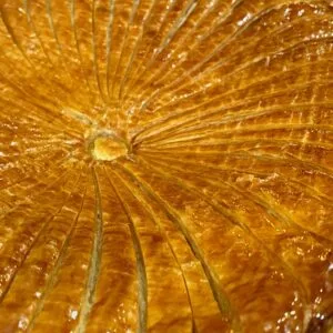 Galette des rois